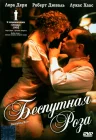  Беспутная Роза смотреть онлайн (1991) 