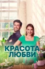  Красота любви смотреть онлайн (2021) 