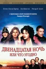  Двенадцатая ночь, или Что угодно смотреть онлайн (1996) 