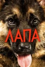  Лапа смотреть онлайн (2015) 