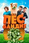 Пёс Бандит смотреть онлайн (2016) 