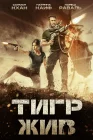  Тигр жив смотреть онлайн (2017) 
